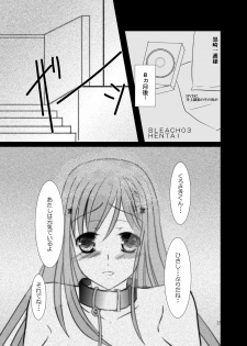 (C78) [Misaki Shoujokei. (Misaki Yuu)] Orihime (BLEACH) - page 24
