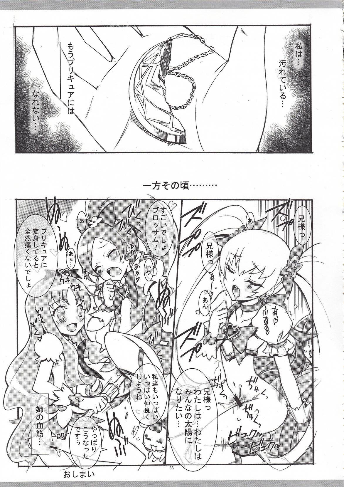 (C78) [Project Harakiri (Kaishaku)] Twilight ~Newmoon~ (Heart Catch Precure!) page 32 full