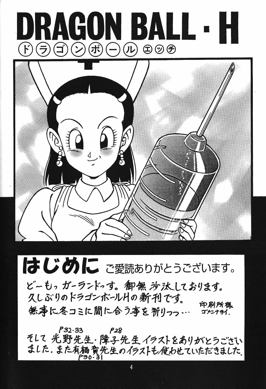 (C71) [Rehabilitation (Garland)] DragonBall H Maki San (Dragon Ball Z) [English] [hyarugu] page 3 full