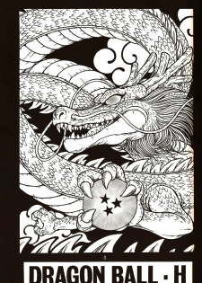 (C71) [Rehabilitation (Garland)] DragonBall H Maki San (Dragon Ball Z) [English] [hyarugu] - page 2