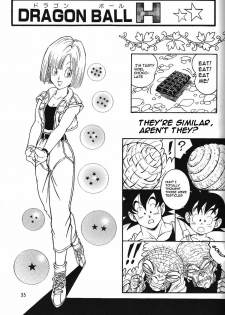 (C71) [Rehabilitation (Garland)] DragonBall H Maki San (Dragon Ball Z) [English] [hyarugu] - page 34