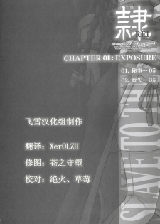 (C68) [Hellabunna (Iruma Kamiri)] REI - slave to the grind - CHAPTER 01: EXPOSURE (Dead or Alive) [Chinese] [飞雪汉化组] - page 3