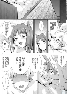 (COMIC1☆3) [Koakuma Sageha (Sage Joh)] Ookami to Mitsu Ringo (Spice and Wolf) [Chinese] [飞雪汉化组] - page 21