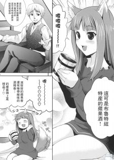 (COMIC1☆3) [Koakuma Sageha (Sage Joh)] Ookami to Mitsu Ringo (Spice and Wolf) [Chinese] [飞雪汉化组] - page 5