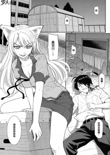 (C78) [Homunculus] BAKENEKOGATARI (Bakemonogatari) [Chinese] [指○奶茶步兵團] - page 3