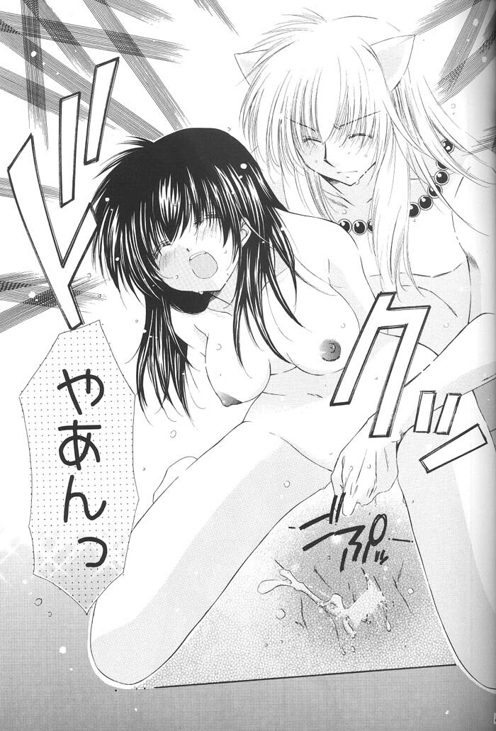 (C68) [Sakurakan (Seriou Sakura)] Honey Honey (Inuyasha) page 20 full