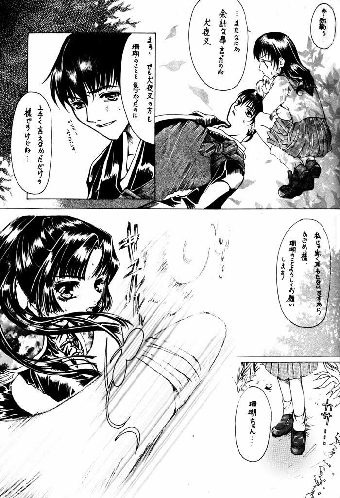 (C64) [Sharuru Tekken Seisai (Kashiwagi Tamako)] Netsuai Mousou Shoukougun (Inuyasha) page 10 full