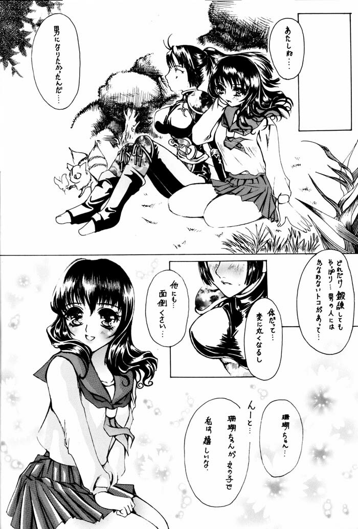 (C64) [Sharuru Tekken Seisai (Kashiwagi Tamako)] Netsuai Mousou Shoukougun (Inuyasha) page 11 full