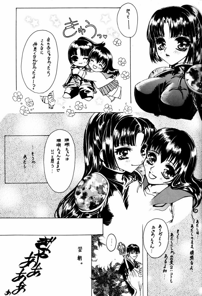 (C64) [Sharuru Tekken Seisai (Kashiwagi Tamako)] Netsuai Mousou Shoukougun (Inuyasha) page 12 full