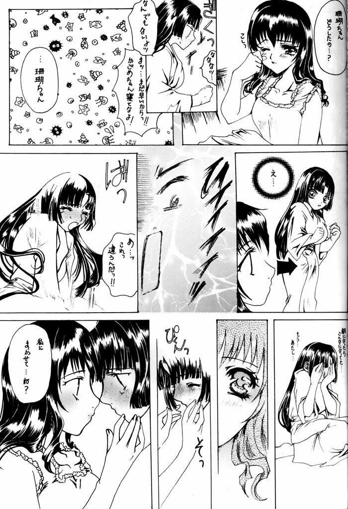 (C64) [Sharuru Tekken Seisai (Kashiwagi Tamako)] Netsuai Mousou Shoukougun (Inuyasha) page 14 full