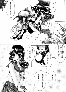(C64) [Sharuru Tekken Seisai (Kashiwagi Tamako)] Netsuai Mousou Shoukougun (Inuyasha) - page 11