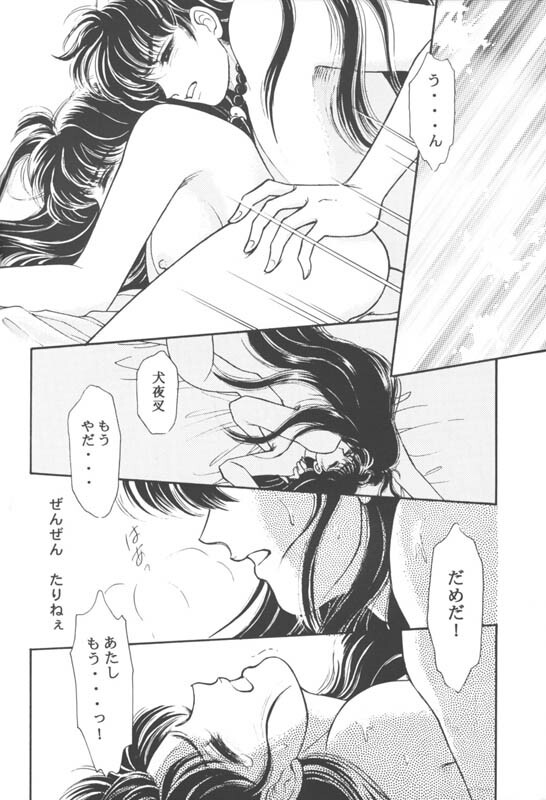 (CR29) [Hana to Princess (Hime)] Tsuitachi no Yoru (Inuyasha) page 21 full