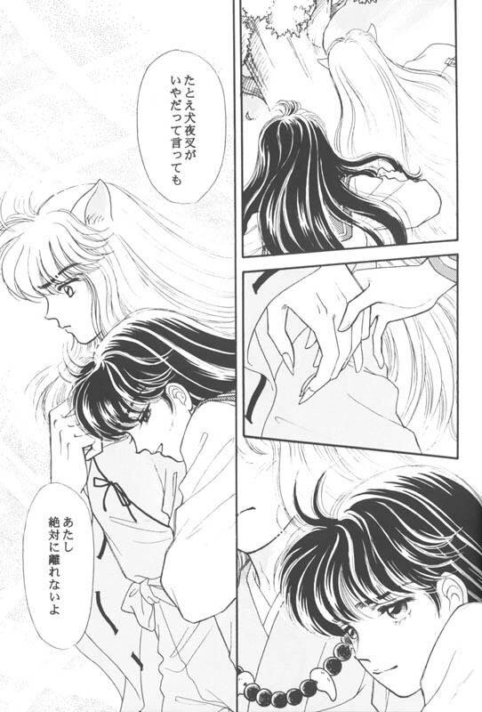 (CR29) [Hana to Princess (Hime)] Tsuitachi no Yoru (Inuyasha) page 26 full