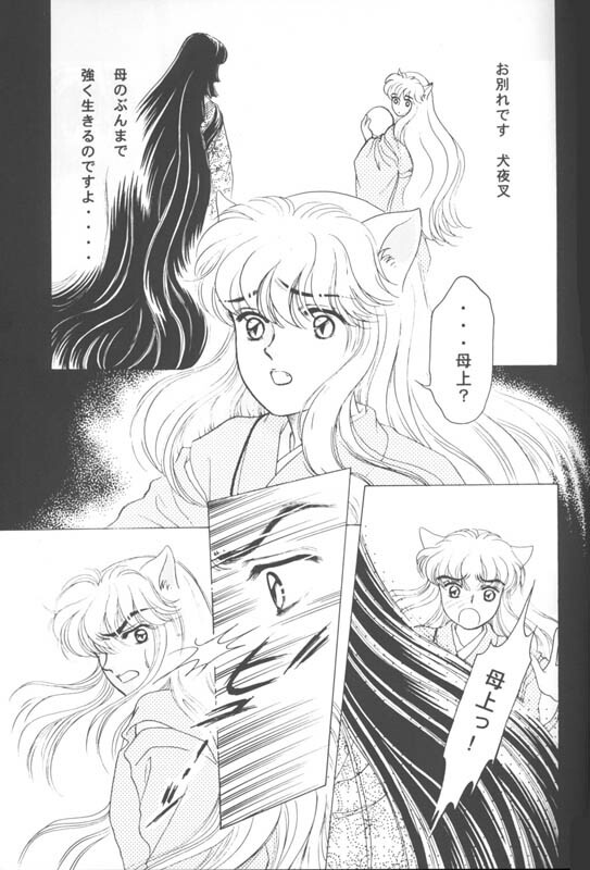 (CR29) [Hana to Princess (Hime)] Tsuitachi no Yoru (Inuyasha) page 4 full