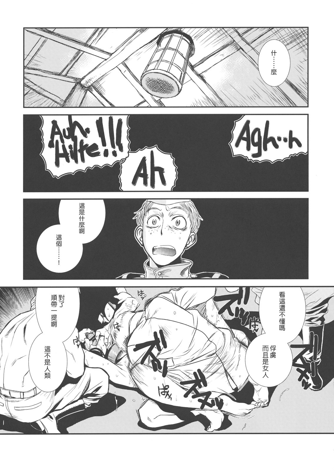 (C78) [TEX-MEX (Red Bear)] Der Entartete Kunst (Hellsing) [Chinese] [枫色汉化] page 6 full