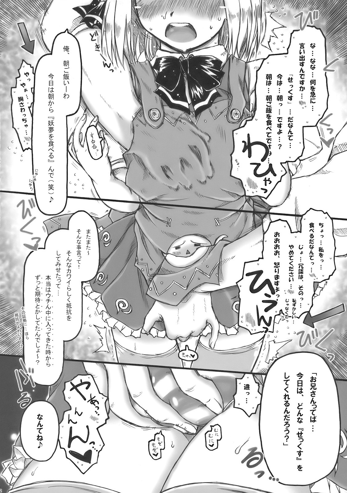 (COMIC1☆4) [Ankoku-Bousougumi (Ainu Mania)] Myon na Kayoizuma wa Ikaga deshou? (Touhou Project) page 12 full