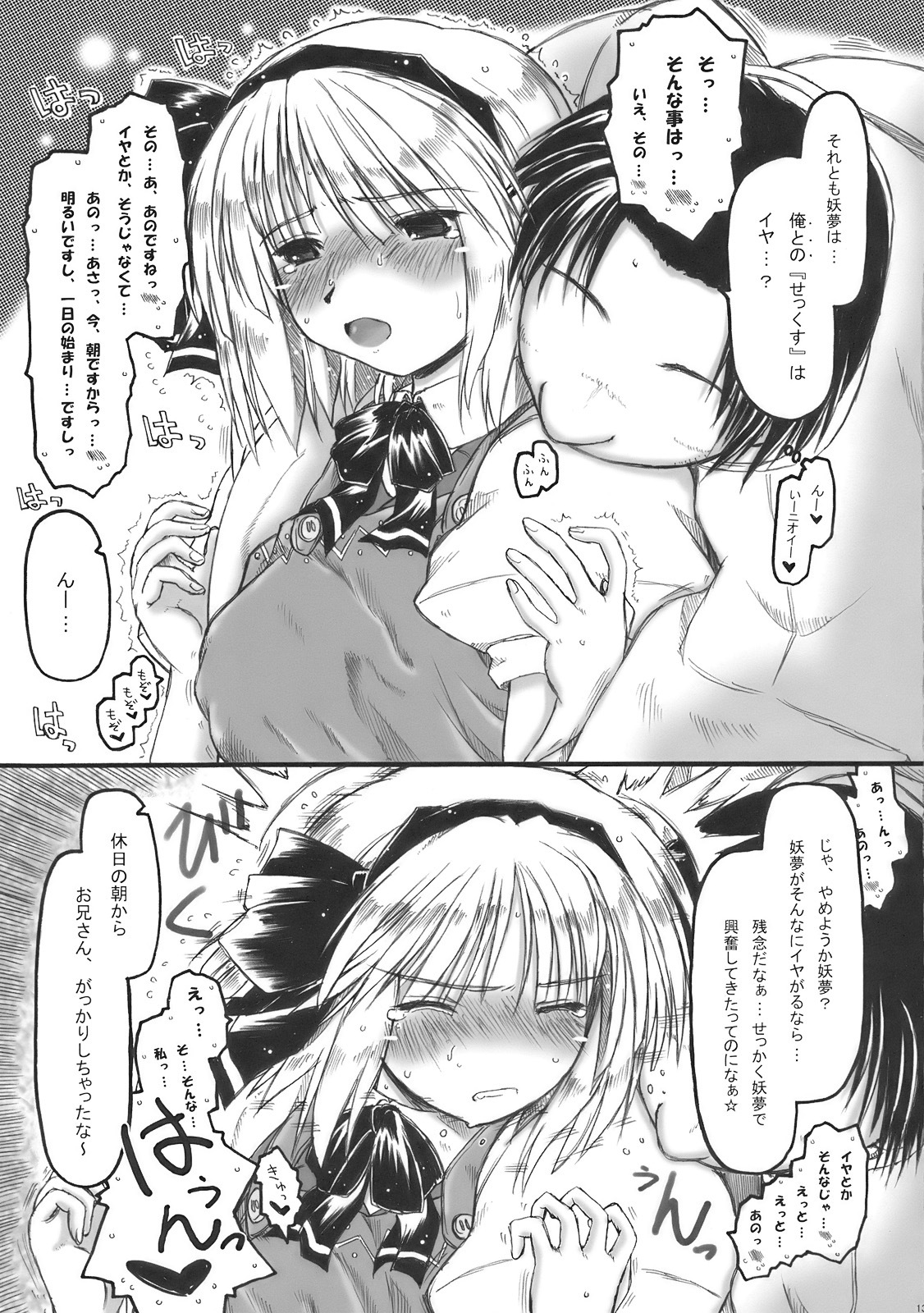 (COMIC1☆4) [Ankoku-Bousougumi (Ainu Mania)] Myon na Kayoizuma wa Ikaga deshou? (Touhou Project) page 13 full