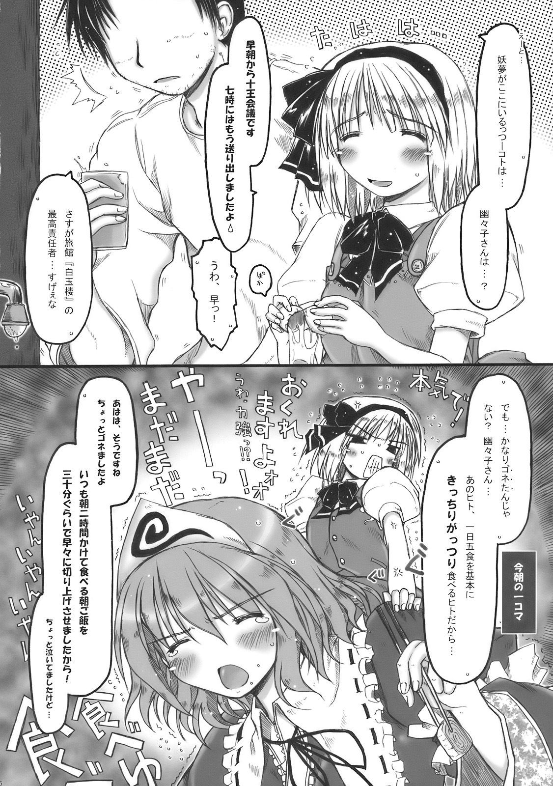 (COMIC1☆4) [Ankoku-Bousougumi (Ainu Mania)] Myon na Kayoizuma wa Ikaga deshou? (Touhou Project) page 6 full