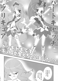 (C78) [Tennenseki (Suzuri)] Dokki Doki desu! Kinoko ga Haechaimashita!? (HeartCatch Precure!) - page 4