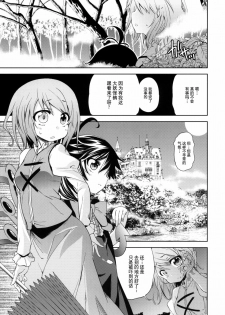 (C78) [Yumemigokoti (Mikage Baku)] WITH YOUR SMILE (Touhou Project) [Chinese] [52H里漫画组] - page 5