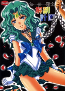 (C78) [Kotori Jimusho (Sakura Bunchou)] Sailor Senshi Kaibou Keikaku (Sailor Moon) - page 1