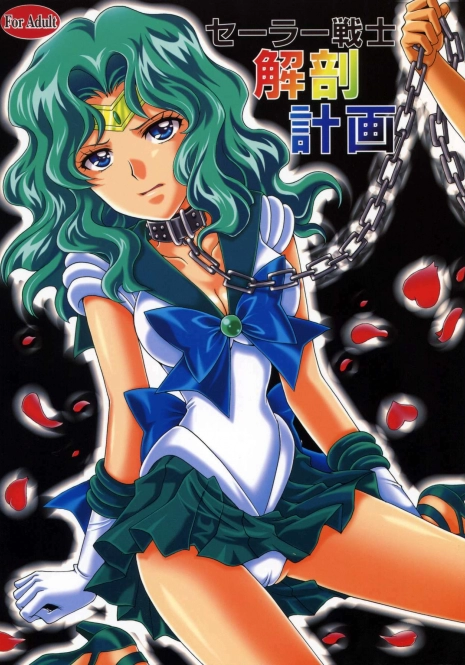 (C78) [Kotori Jimusho (Sakura Bunchou)] Sailor Senshi Kaibou Keikaku (Sailor Moon)