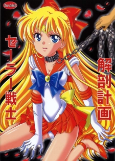 (C78) [Kotori Jimusho (Sakura Bunchou)] Sailor Senshi Kaibou Keikaku (Sailor Moon) - page 2