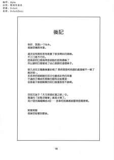 (C78) [Nakayohi (Izurumi)] Rental Asuka (Neon Genesis Evangelion) [Chinese] [枫色汉化] - page 18