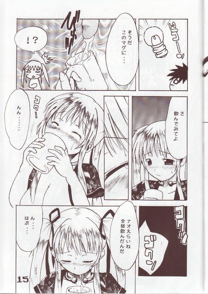 (C68) [MILK STANDARD (Shinichi)] Mabinogi Milk Nao-san (Mabinogi) page 12 full