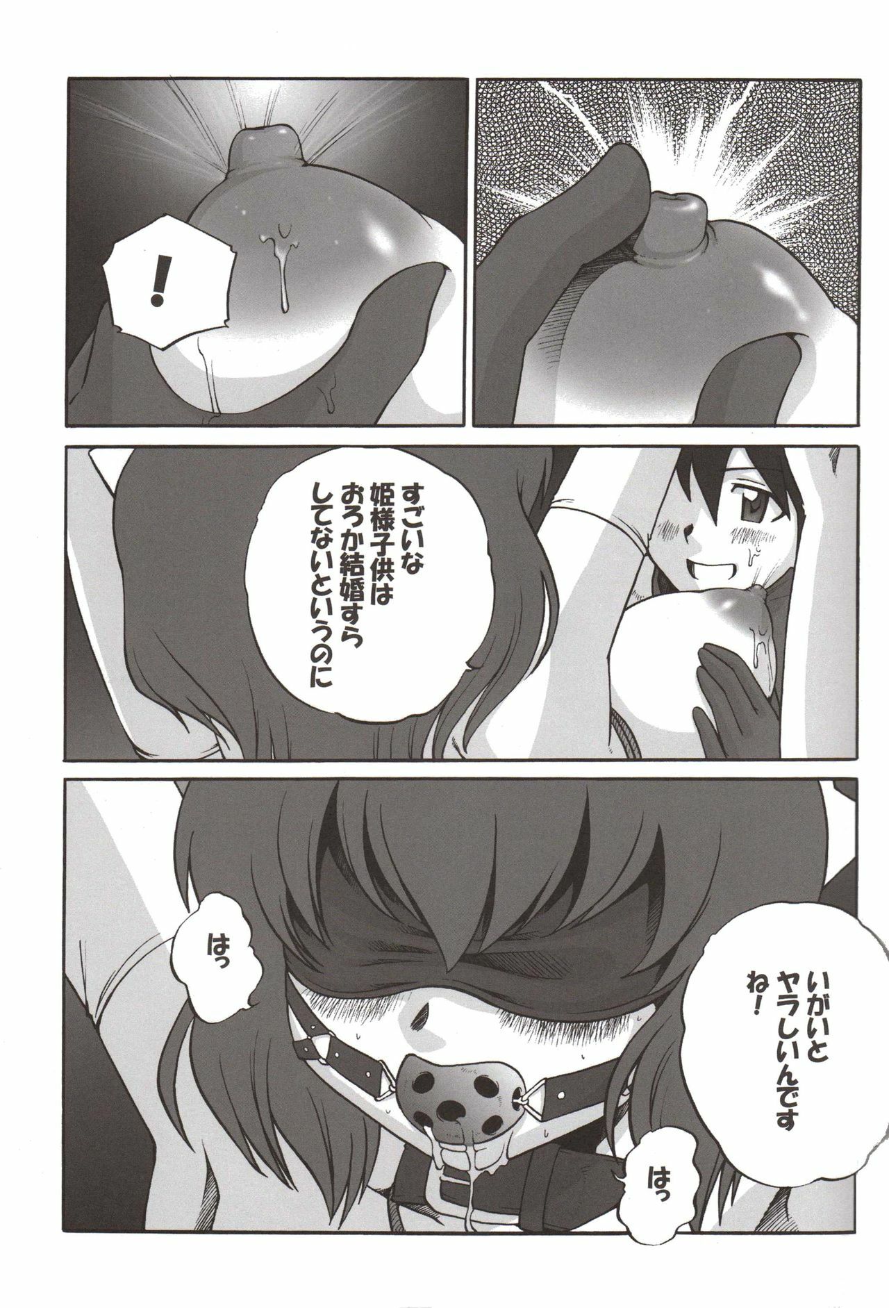 (C75) [WILD CARD (Takashi Naruse, Morio☆Hajioka)] Ero no Tsukaima (ZEro no Tsukaima) page 20 full