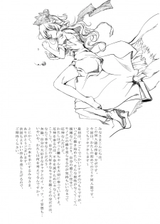 (Reitaisai SP2) [Gyokotsu Kouzou (Kapo)] Borderline (Touhou Project) - page 18