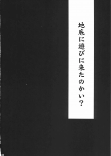 (C78) [RapidRabbit (Tomotsuka Haruomi)] Byoujo no Sho (Touhou Project) - page 28