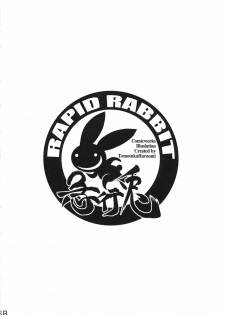 (C78) [RapidRabbit (Tomotsuka Haruomi)] Byoujo no Sho (Touhou Project) - page 38