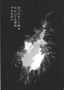 (C78) [RapidRabbit (Tomotsuka Haruomi)] Byoujo no Sho (Touhou Project) - page 5