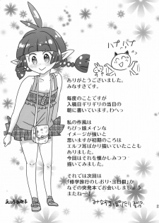 (C78) [Tetchan Hato (Minasuki Popuri)] Mimi no Nagai Ane no hou - page 22