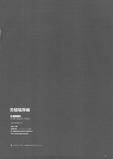 (C78) [R-WORKS (ROS)] Retsujou Kyoukaisen (Neon Genesis Evangelion) - page 26