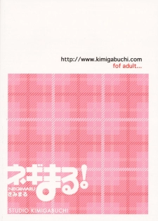 (C65) [Studio Kimigabuchi (Kimimaru)] Negimaru! (Mahou Sensei Negima!) [Portuguese-BR] [BartSSJ] - page 2