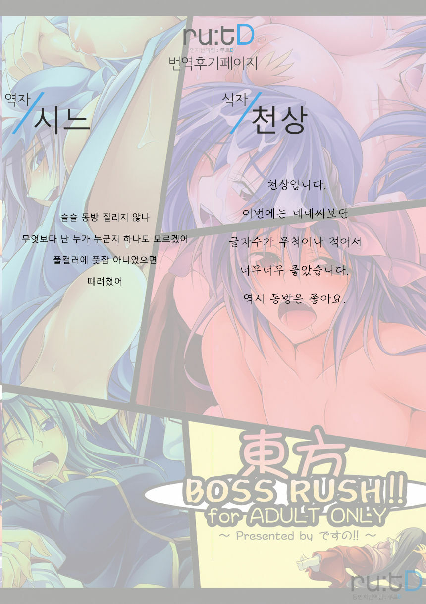 (C77) [Desuno!! (Fuyuwa Kotatsu)] Touhou Boss Rush!! (Touhou Project) [Korean] [ru:tD] page 17 full