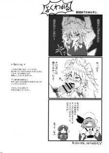 (C78) [BURUMAN (Tajima Yuki)] S&M Violence (Touhou Project) - page 4