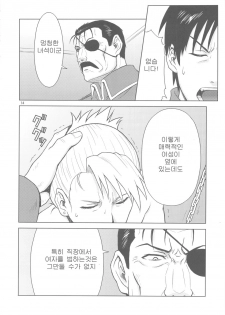 (C78) [AZASUKEWIND (Azasuke)] SLAVE SECRETARY (Full Metal Alchemist) [Korean] - page 13