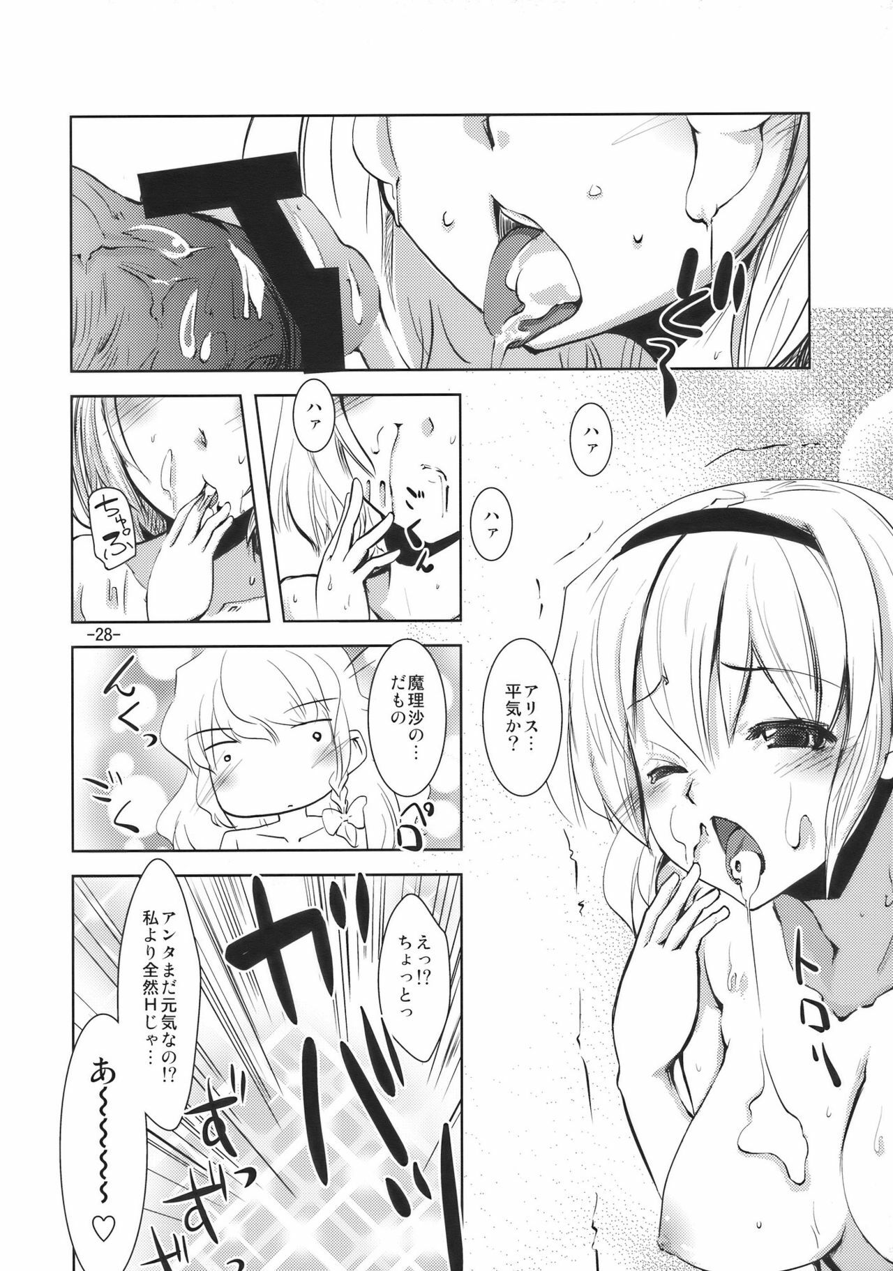 (C78) [Sanzoku no Uta (Takara Akihito)] Love Ali (Touhou Project) page 28 full