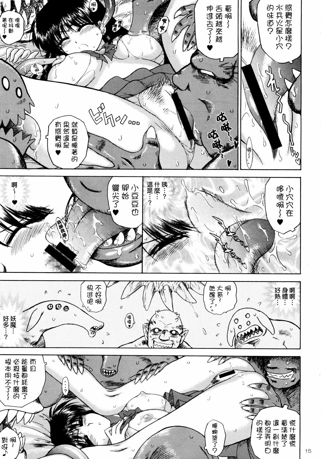 (C75) [BLACK DOG (Kuroinu Juu)] SCARY MONSTERS (Bishoujo Senshi Sailor Moon) [Chinese] [lzmcsa個人漢化] page 15 full