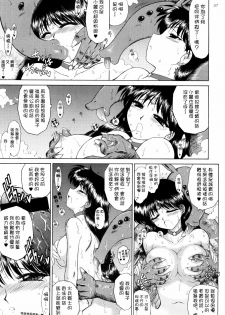 (C75) [BLACK DOG (Kuroinu Juu)] SCARY MONSTERS (Bishoujo Senshi Sailor Moon) [Chinese] [lzmcsa個人漢化] - page 37