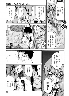 [Inoue Yoshihisa] Shibarare Hime - page 22
