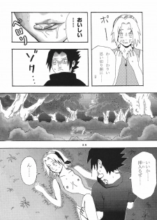 (C70) [St. Rio (Kitty)] Nama Ikikko 2 (BLEACH, Naruto) - page 30