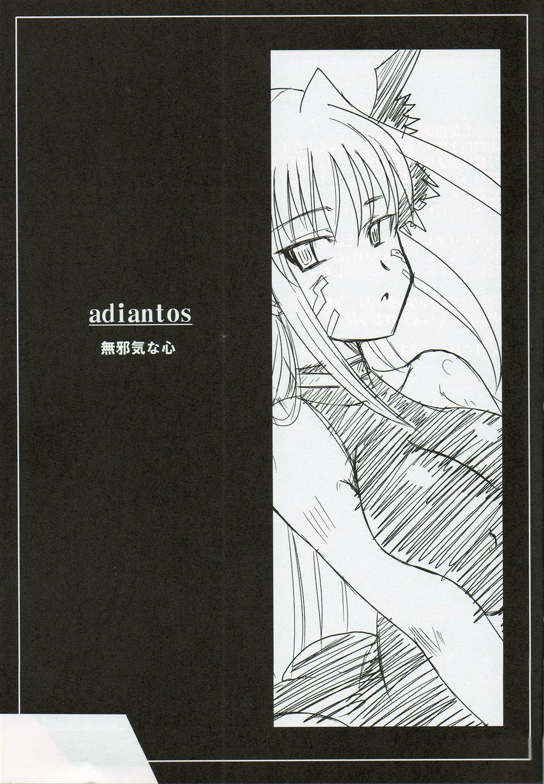 (Nanoha Festival 2) [Take Out (Zeros)] adiantos (Mahou Shoujo Lyrical Nanoha) page 2 full