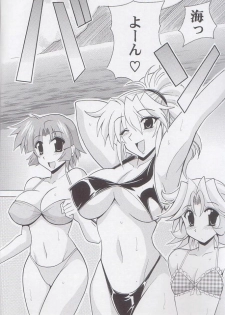 (C68) [Leaz Koubou (Oujano Kaze)] O.G.SUMMER (Super Robot Taisen) - page 5