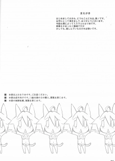 (C78) [BookShelf (Suzuno)] Misu Life (Final Fantasy XI) - page 3