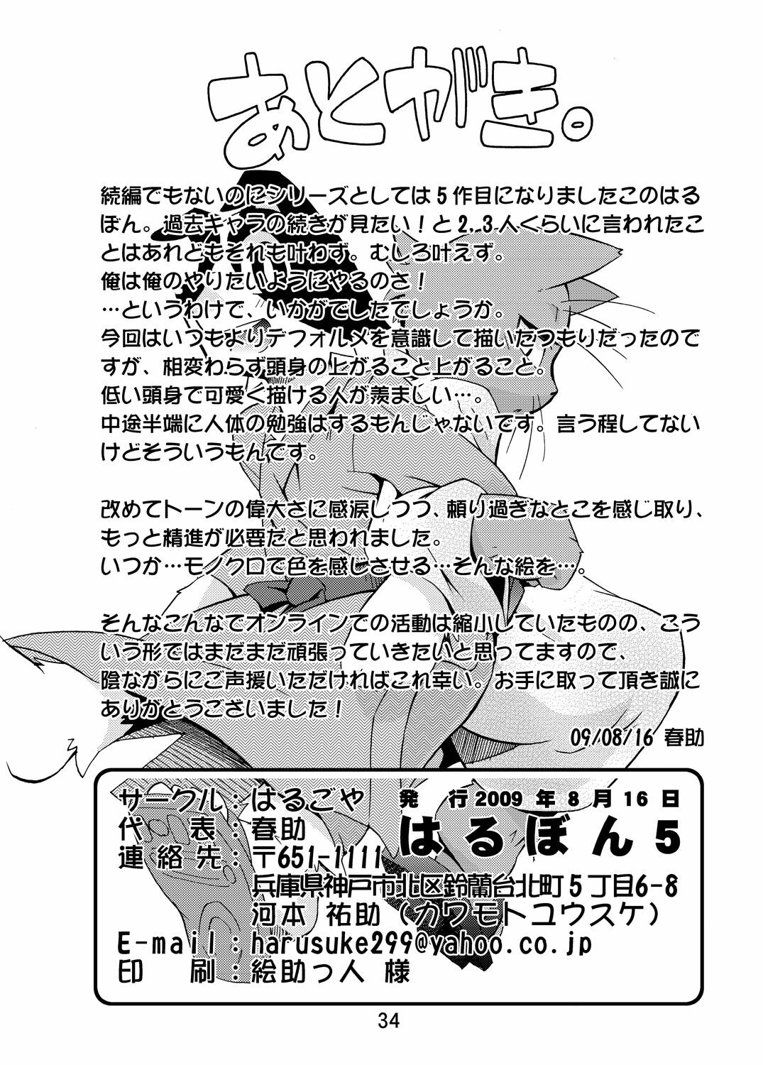 (C76) [Harugoya (Harusuke)] Harubon 5 [Chinese] page 32 full