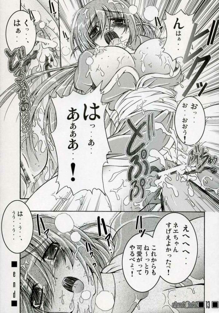 (SC31) [a.la.mode (Kagura Takeshi)] Degeneration (Dead or Alive) page 12 full